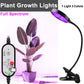 Plant LED Growth Lights